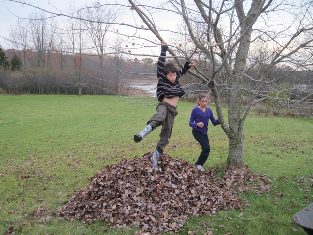 Raking and jumping in leaves