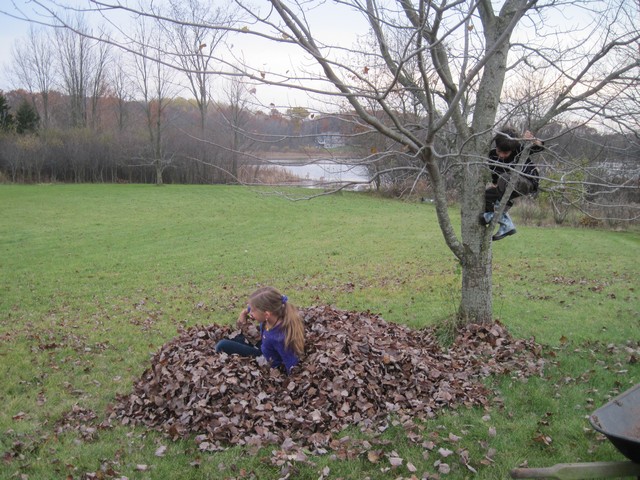 Raking, jumping in leaves