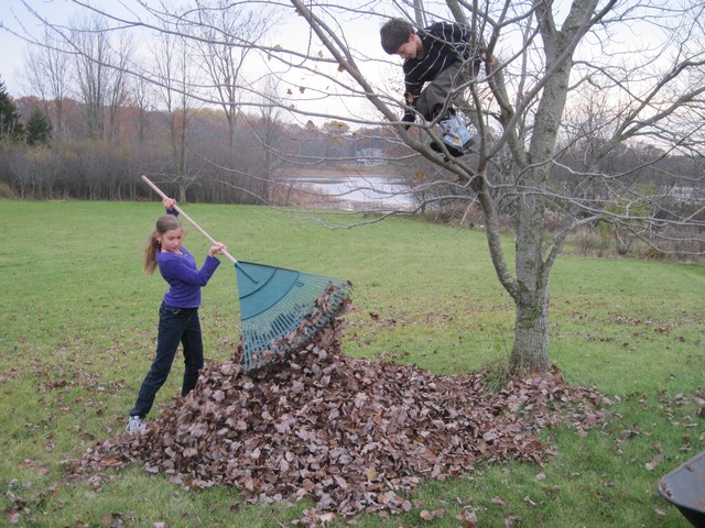 Raking leaves, fall