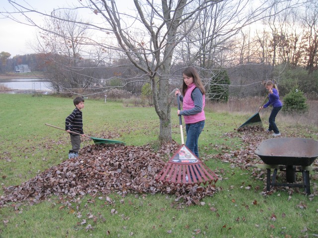 Raking leaves