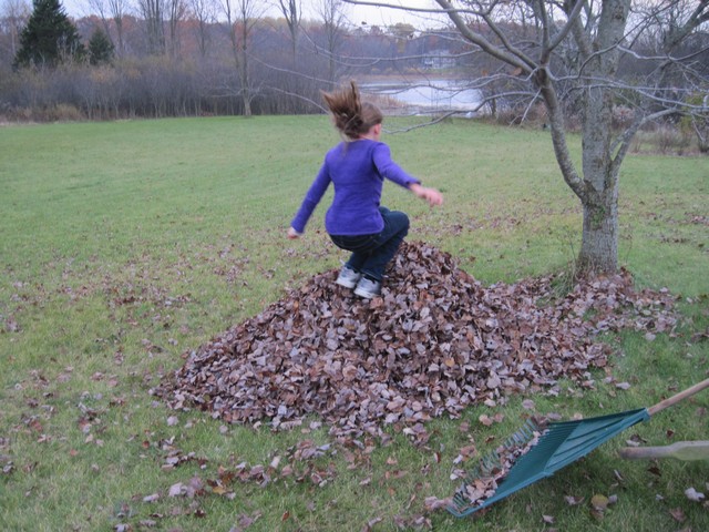 Raking, then jumping in leaves