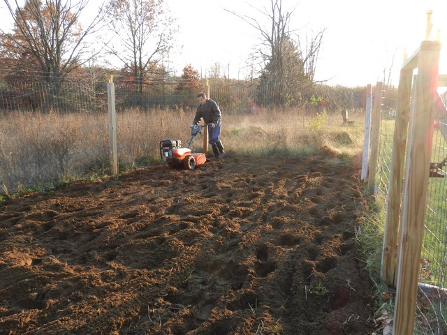 Tilling vegetable garden