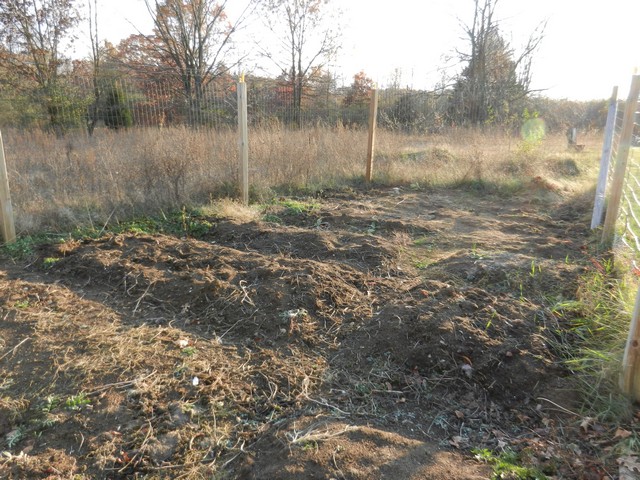 Vegetable Garden in fall, after harvest