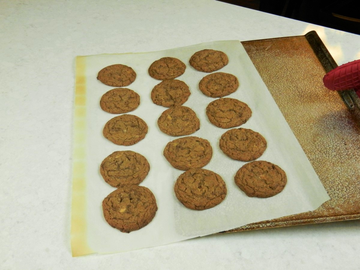 Chewy Malted Milk Cookies, perfectly round after conveniently shaping cookie dough, using scoop.