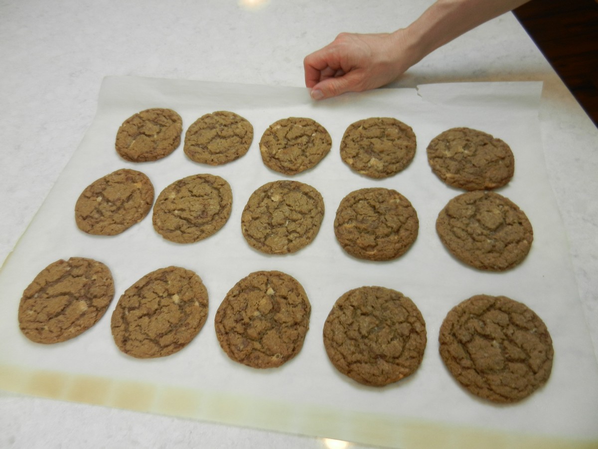 Chewy Malted Milk Cookies, the best ever, cooling on the counter.