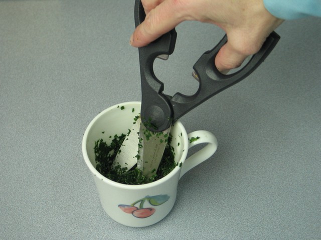 Cutting fresh herbs, scissors