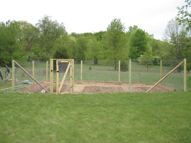 Fenced in garden, gate