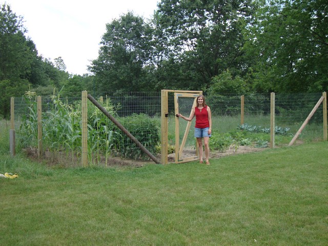 Garden, midsummer