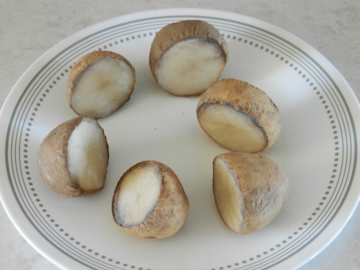 Cut potato with callus