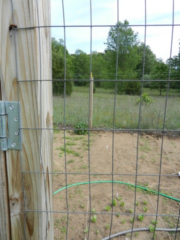 How to Build a Chicken Wire Fence