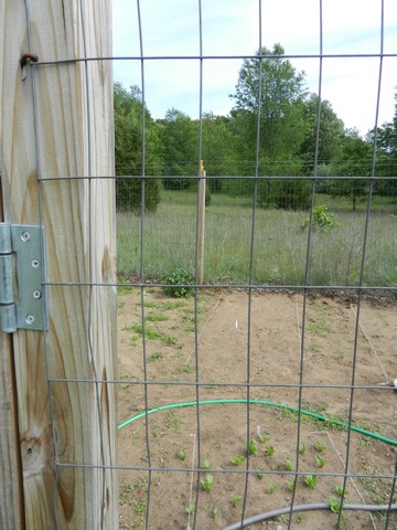 How to Plan Your Vegetable Garden Using Wire Mesh