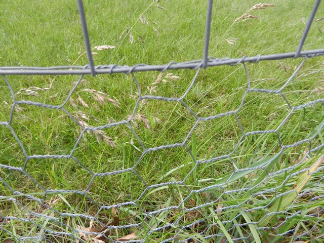 Access to vegetable bed when using chicken wire fence? : r/gardening