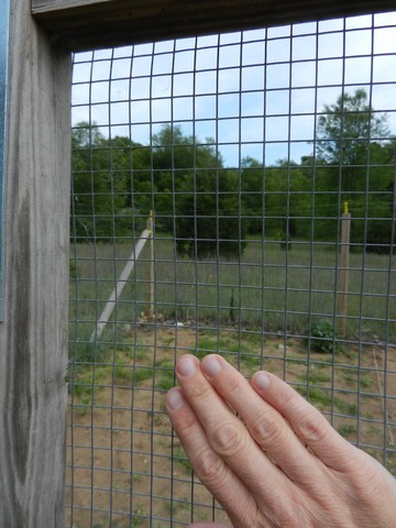 Access to vegetable bed when using chicken wire fence? : r/gardening