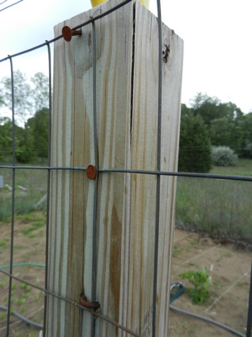 How to Attach Wire Mesh to Wood Fence