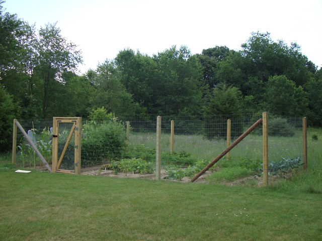 Fence for Home Gardens, Using Fencing Wire & Chicken Netting