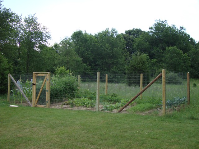 Chicken-wire fence panels for garden bed