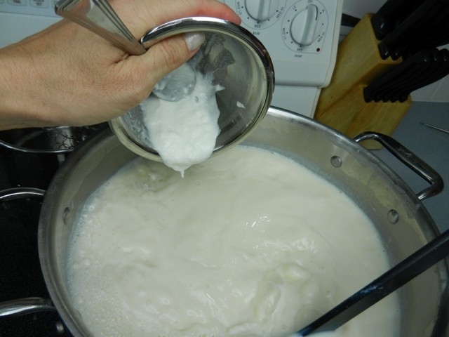 Making Yogurt at Home with MEC