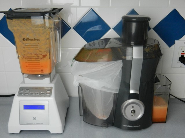 Juicer vs Blender: Which is Better? - It's a Veg World After All®