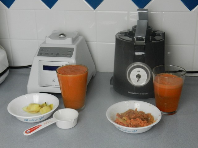 Juicer vs Blender: Which is Better? - It's a Veg World After All®