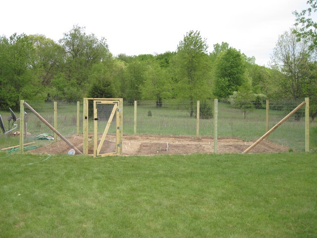 Chicken Wire Garden Fence Rabelo